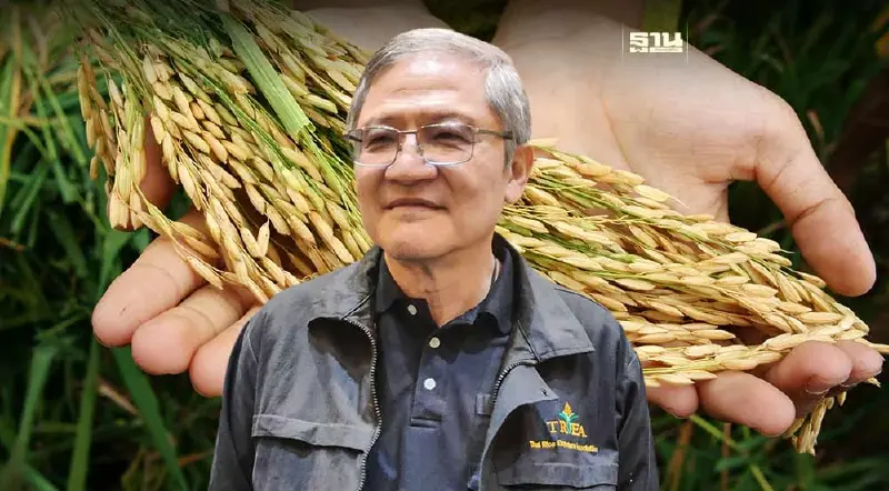 ส่งออกเฮ ข้าวไทยขายดี คาดปี 66 พุ่ง 8.8 ล้านตัน สูงสุดรอบ 5 ปี ออร์เดอร์ยังทะลัก