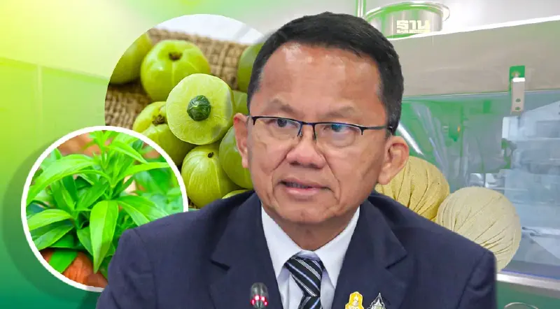 "สมศักดิ์" เซ็นประกาศกำหนดราคากลาง "ยาสมุนไพร" 43 รายการ