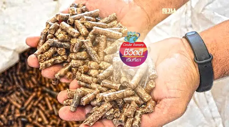 โรงไฟฟ้าแม่เมาะ ผสมชีวมวลร่วมกับถ่านหิน มุ่งสู่ความเป็นกลางทางคาร์บอน