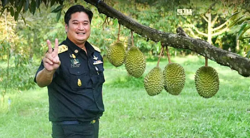 ไทยเฮ จีนนำเข้าทุเรียนปี 66 ทำสถิติใหม่ 1.2 แสนล้าน ไทยเฮ จีนนำเข้าทุเรียนปี 66 ทำสถิติใหม่ 1.2 แสนล้าน