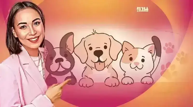 ฉีดวัคซีนป้องกันพิษสุนัขบ้า หมา แมว ฟรี 2567