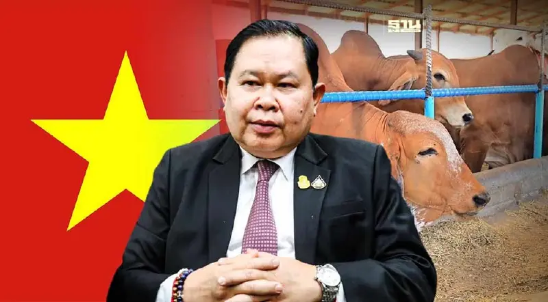 ไทยเตรียมส่งโคมีชีวิต ไปเวียดนามทางเรือครั้งแรก ประเดิม 2,000 ตัว ไทยเตรียมส่งโคมีชีวิต ไปเวียดนามทางเรือครั้งแรก ประเดิม 2,000 ตัว