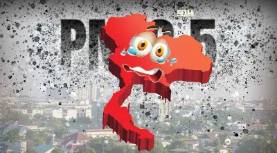 ฝุ่น PM 2.5 เกินค่ามาตรฐาน 21 จังหวัดมีผลกระทบต่อสุขภาพ