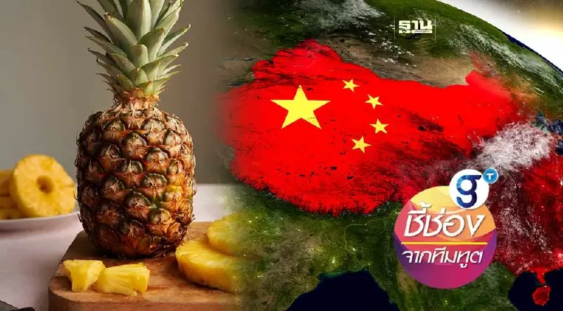 จับเทรนด์ "สับปะรดฟีเวอร์" ในจีน และโอกาสของสับปะรดไทย (2)