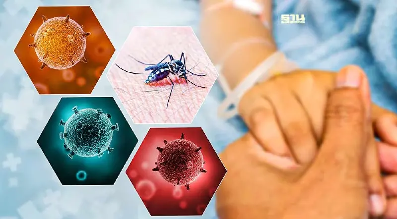 วิธีป้องกันตัวจาก "ยุงลาย" พาหะนำ 3 โรคร้าย