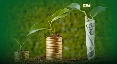 Net Zero แรง คาร์บอนเครดิตขาดตลาด ราคาพุ่ง เอกชนเก็บไว้ชดเชย CO2