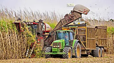 ออสเตรเลียคาดผลผลิตน้ำตาลเสียหายอ่วม หลังฝนถล่มหนัก-น้ำท่วมฉับพลัน