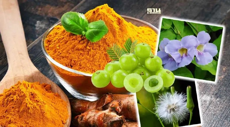 4 พืชผักสมุนไพรไทยกินถูกวิธีดูแลสุขภาพ สู้ฝุ่น PM 2.5 4 พืชผักสมุนไพรไทยกินถูกวิธีดูแลสุขภาพ สู้ฝุ่น PM 2.5