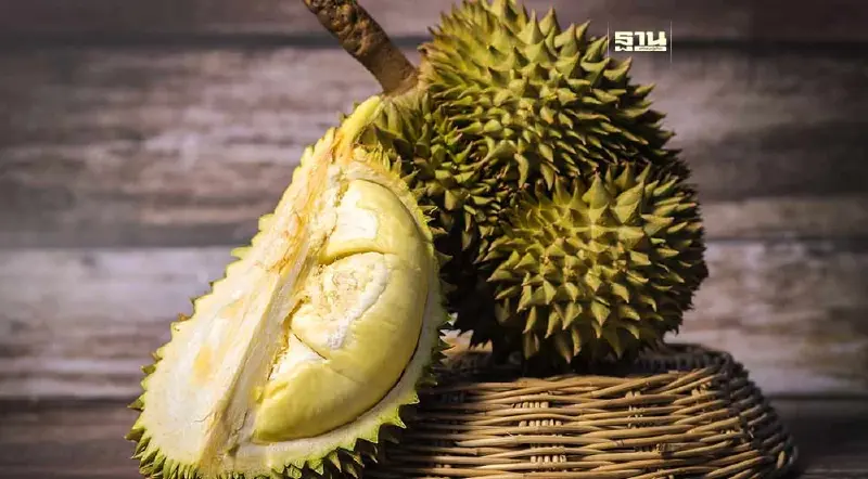 ไทยส่งออกทุเรียนไปจีน ปี 2566 พุ่ง 9 หมื่นล้าน โตกระฉูด 81.7%