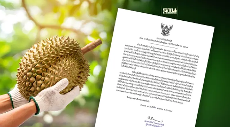จันทบุรี ออกประกาศขึ้นทะเบียนนักคัดนักตัดทุเรียน ประจำปี 2567 อ่านด่วน จันทบุรี ออกประกาศขึ้นทะเบียนนักคัดนักตัดทุเรียน ประจำปี 2567 อ่านด่วน