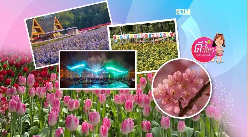 เปิด 5 พิกัด เที่ยวทุ่งดอกไม้ บานฉํ่า รับปี 2567