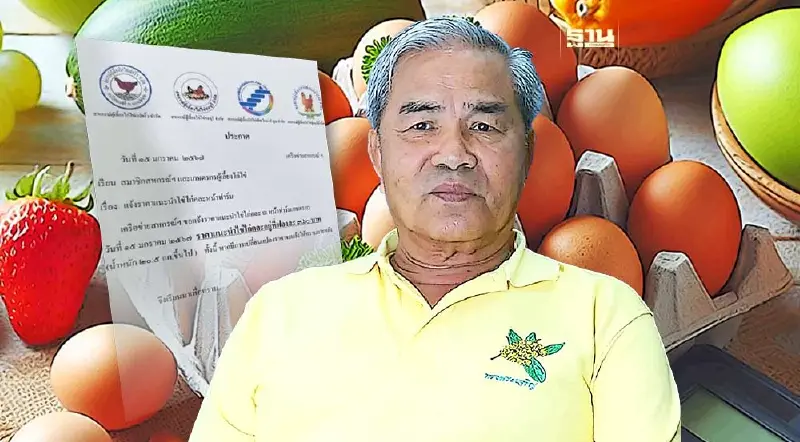 ต้านไม่ไหว! “ไข่ไก่” ปรับราคาลงแล้ว แผงละ 6 บาท