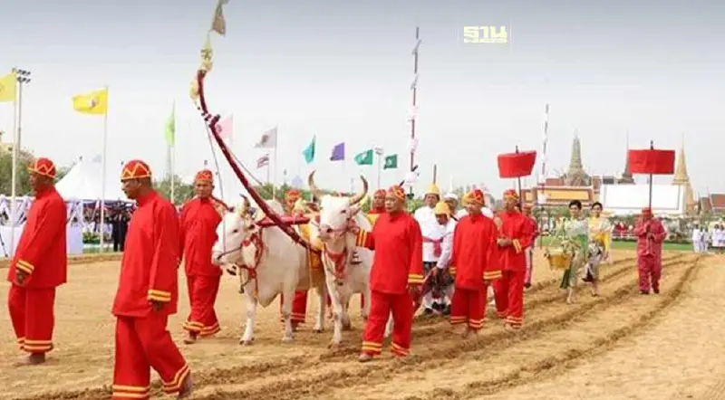 "วันพืชมงคล 2567" ตรงกับวันไหน เช็กวันหยุด-เปิดประวัติพระราชพิธีสำคัญ