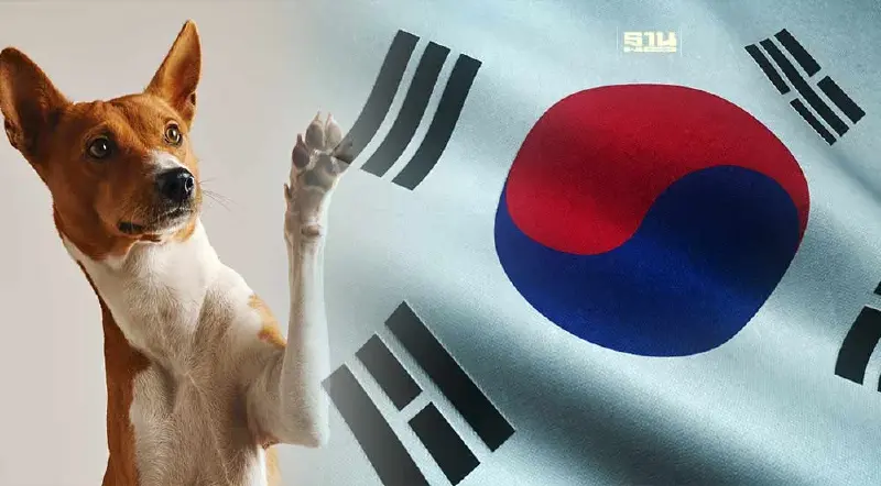 เกาหลีใต้ผ่านร่างกฎหมายห้ามซื้อขายเนื้อสุนัข ฝ่าฝืนเจอคุก-ปรับอ่วม เกาหลีใต้ผ่านร่างกฎหมายห้ามซื้อขายเนื้อสุนัข ฝ่าฝืนเจอคุก-ปรับอ่วม