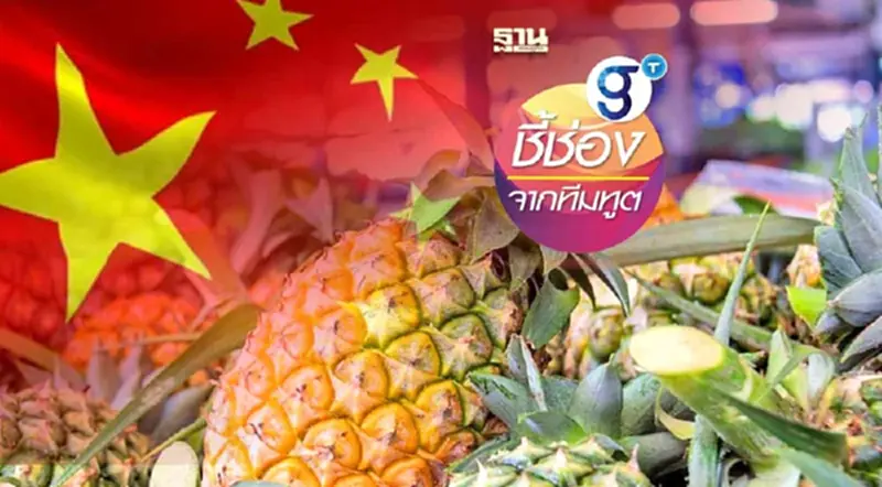 จับเทรนด์ "สับปะรดฟีเวอร์" ในจีน และโอกาสของสับปะรดไทย (1) จับเทรนด์ "สับปะรดฟีเวอร์" ในจีน และโอกาสของสับปะรดไทย (1)