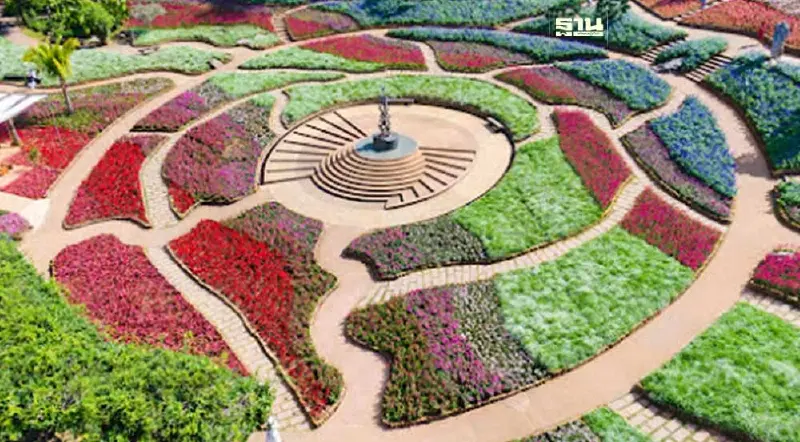 "มูลนิธิแม่ฟ้าหลวงฯ"เนรมิตสวนแม่ฟ้าหลวงอวดดอกไม้เมืองหนาวกว่า 1 แสนต้น