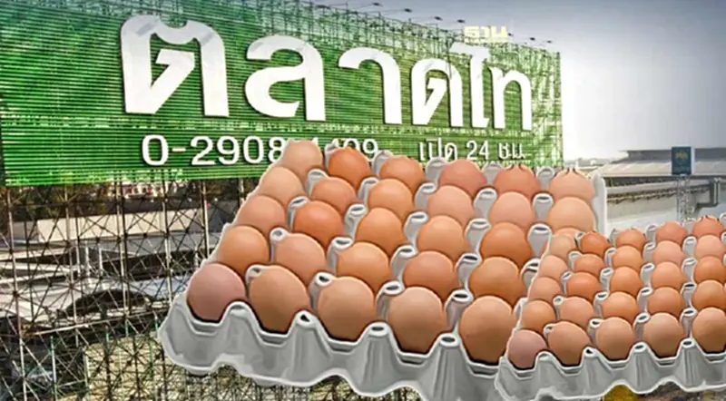 ราคาไข่ไก่วันนี้ ตลาดไท ราคากี่บาทหลังสหกรณ์ผู้เลี้ยงไก่ปรับราคา ราคาไข่ไก่วันนี้ ตลาดไท ราคากี่บาทหลังสหกรณ์ผู้เลี้ยงไก่ปรับราคา