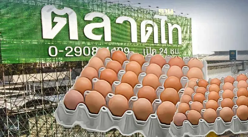 ราคาไข่ไก่วันนี้ ตลาดไท  ราคากี่บาทหลังสหกรณ์ผู้เลี้ยงไก่ปรับราคา