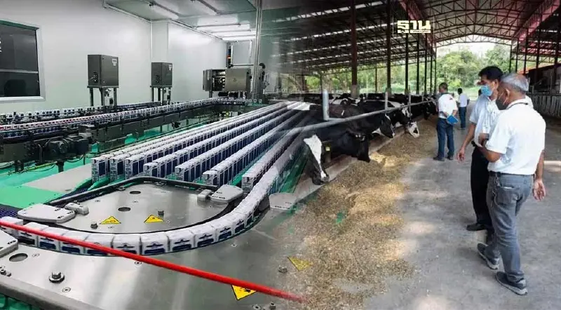 อ.ส.ค. ยันพร้อมรับมือ เปิดเสรีโคนมไทย-ออสเตรเลีย-นิวซีแลนด์ อ.ส.ค. ยันพร้อมรับมือ เปิดเสรีโคนมไทย-ออสเตรเลีย-นิวซีแลนด์