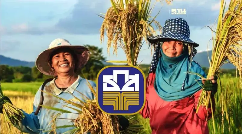 ธ.ก.ส.จ่ายเงินไร่ละพัน ช่วยชาวนาอีก 1.15 แสนครัวเรือน