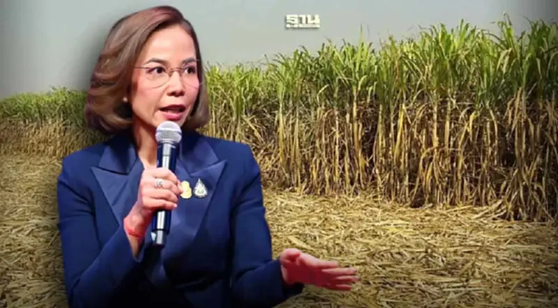 "พิมพ์ภัทรา"สั่งคุมเข้มมาตรการตัดอ้อยสด ลดการเผากัน PM 2.5 "พิมพ์ภัทรา"สั่งคุมเข้มมาตรการตัดอ้อยสด ลดการเผากัน PM 2.5