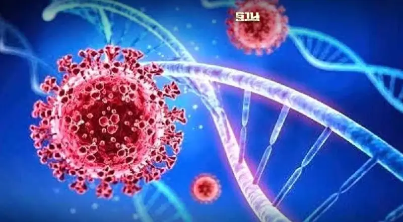 เปิดบทสรุปอัปเดต "โควิด-19" ล่าสุดจาก "WHO" ชี้ JN.1 ครองระบาดทั่วโลก เปิดบทสรุปอัปเดต "โควิด-19" ล่าสุดจาก "WHO" ชี้ JN.1 ครองระบาดทั่วโลก