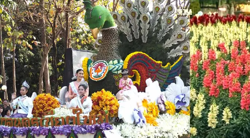 คึกคัก!มหกรรมไม้ดอกไม้ประดับเชียงใหม่ คาดเงินสะพัด 100 ล้าน