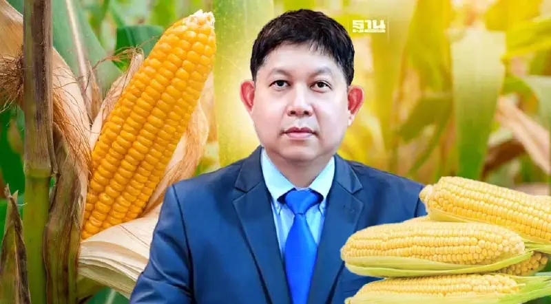 FTA อาเซียน - เกาหลี ดันข้าวโพดหวานไทย คว้าแชมป์ 10 ปีซ้อน