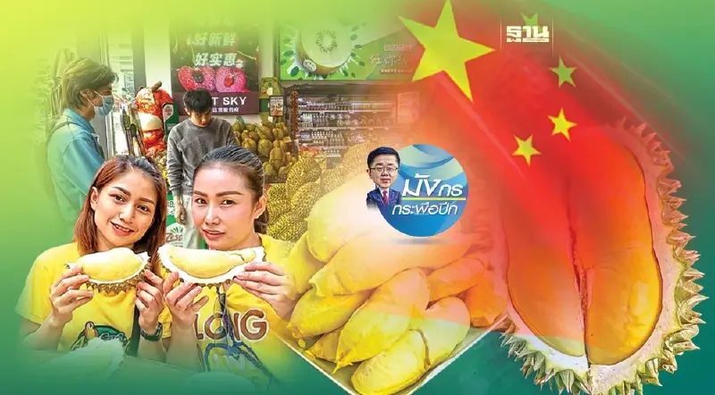 เฮือกสุดท้ายทุเรียนไทยในจีน (1)