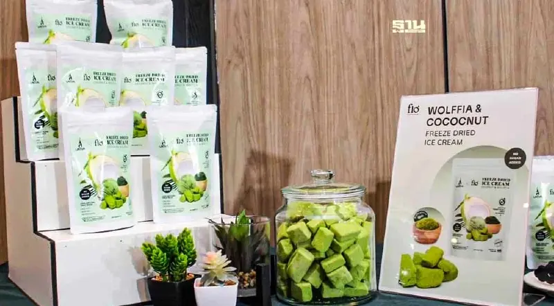 โฟล วูล์ฟเฟีย ปั้น "ไข่ผำ" Superfood วาดแผนโกยรายได้ 100 ล้านใน 3 ปี