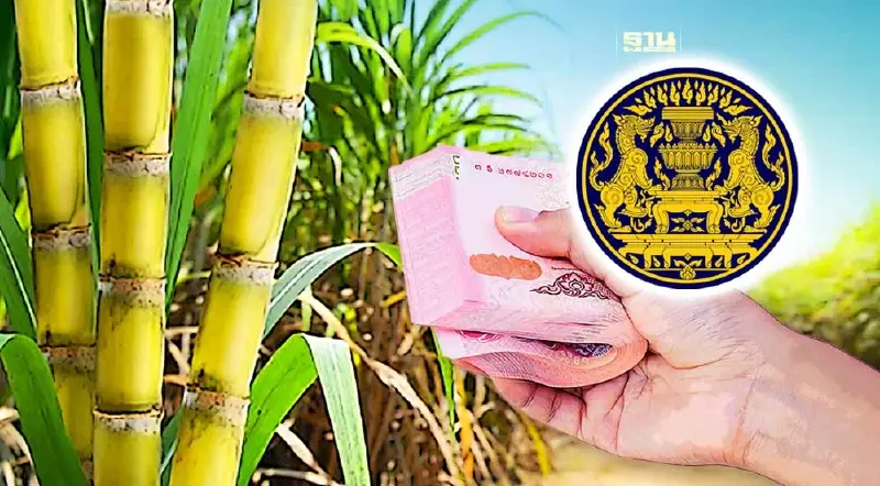 ครม.ไฟเขียวราคาอ้อยขั้นต้น-ขั้นสุดท้าย 2 ฤดู 1,197-1,420 บาท/ตัน