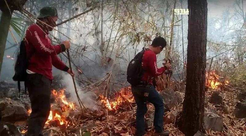 9 ทางออก แก้ปัญหาฝุ่น PM2.5 เร่งด่วน ใช้บิ๊กดาต้าแก้ปัญหาระยะยาว