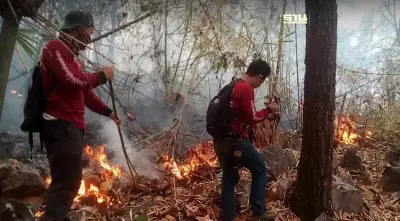 9 ทางออก แก้ปัญหาฝุ่น PM2.5 เร่งด่วน ใช้บิ๊กดาต้าแก้ปัญหาระยะยาว