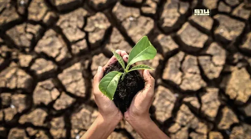 “มหาดไทย” เตรียมแผนรับมือภัยแล้ง ปี 67 สางปัญหาขาดน้ำพื้นที่เกษตร