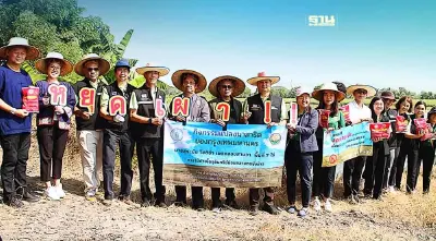 กรมวิชาการเกษตรจับมือ กทม.แก้ PM 2.5 ใช้จุลินทรีย์ย่อยสลาย ลดเผาตอซังข้าว