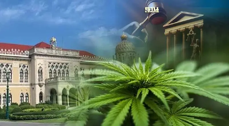 ครม. จ่อถกร่าง พ.ร.บ.กัญชาฯ ฉบับใหม่ ดันกฎหมายลูกคุมการอนุญาต