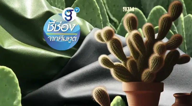 “หนังเทียม”จากต้นกระบองเพชร และแนวทางต่อยอดธุรกิจสำหรับผู้ประกอบการไทย