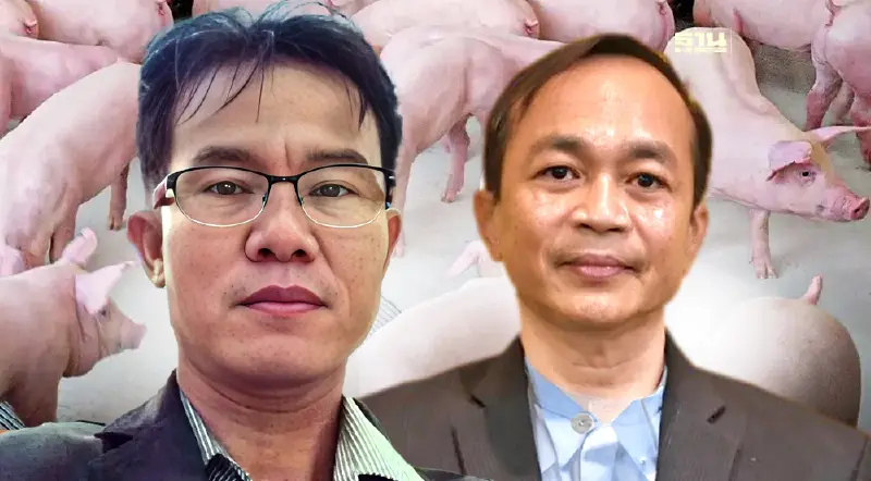 ผู้เลี้ยงหมูโอด ถูกเบี้ยวปรับราคา รายใหญ่-หมูเถื่อนทุบซ้ำดำดิ่ง