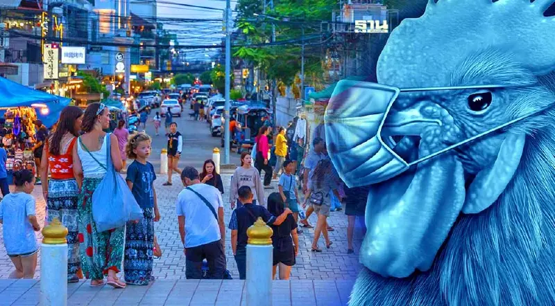 "สปป.ลาว" ตรวจพบ "ไข้หวัดนก สายพันธุ์ H5N1" แพร่ระบาด