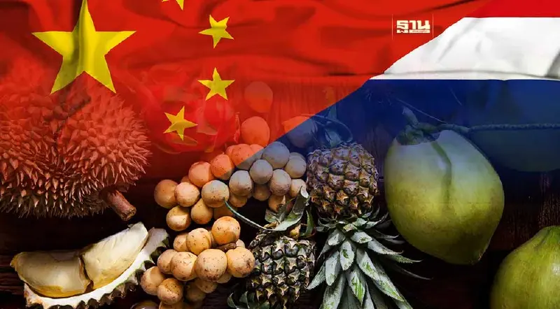 เช็คลิสต์ผลไม้ไทย 22 ชนิดที่จีนอนุญาตให้ส่งไปทำตลาดได้ มีอะไรบ้าง เช็คเลย