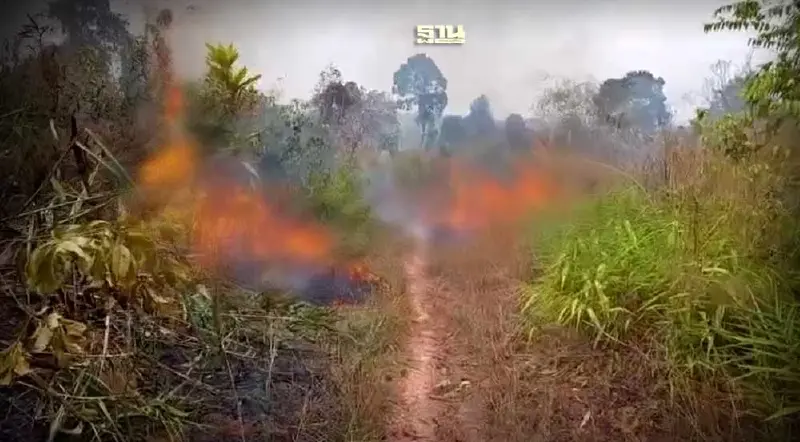 ไฟป่าชายแดนตราดยังไม่ยุติ กลุ่มควันปกคลุมหนาแน่น ไฟป่าชายแดนตราดยังไม่ยุติ กลุ่มควันปกคลุมหนาแน่น