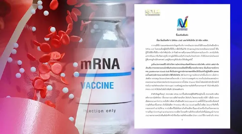 สถาบันวัคซีน แถลงการณ์ชี้ "ลิ่มเลือดสีขาว"ไม่ได้เกิดจากวัคซีน mRNA สถาบันวัคซีน แถลงการณ์ชี้ "ลิ่มเลือดสีขาว"ไม่ได้เกิดจากวัคซีน mRNA