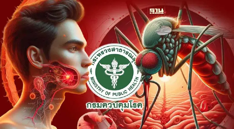 น่าห่วง กรมควบคุมโรค เผยพบผู้ป่วยไข้เลือดออกเพิ่มขึ้น 1.9 เท่า น่าห่วง กรมควบคุมโรค เผยพบผู้ป่วยไข้เลือดออกเพิ่มขึ้น 1.9 เท่า