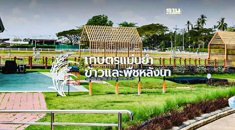 กรมวิชาการเกษตร ดันขยายพื้นที่ปลูกถั่วเหลืองสร้างรายได้เสริมหลังนา กรมวิชาการเกษตร ดันขยายพื้นที่ปลูกถั่วเหลืองสร้างรายได้เสริมหลังนา