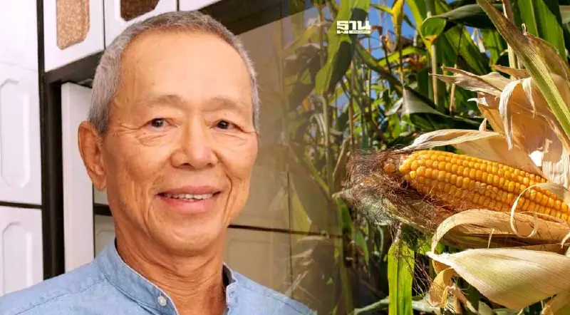 โรงงานอาหารสัตว์ จี้รัฐบังคับใช้มาตรฐาน GAP ทั้งประเทศ ลดครหาต้นเหตุ PM2.5