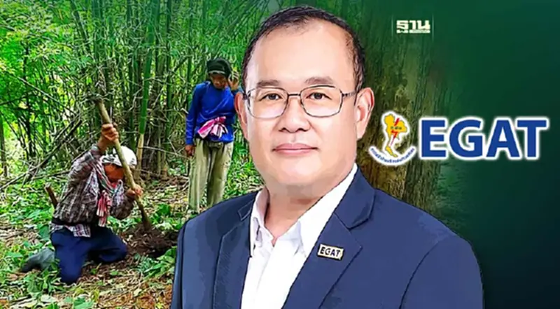"กฟผ."โต้ปลูกป่าล้านไร่จริง ไม่ปลูกทิพย์ ยันตรวจสอบได้ "กฟผ."โต้ปลูกป่าล้านไร่จริง ไม่ปลูกทิพย์ ยันตรวจสอบได้