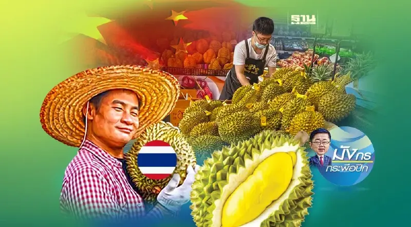 เฮือกสุดท้ายทุเรียนไทยในจีน (2)