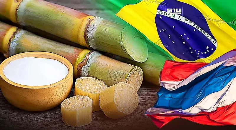 ข่าวดี! ครม.เคาะเอกสาร ไทย-บราซิล ยุติข้อพิพาท อ้อย-น้ำตาล ขัด WTO
