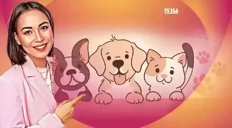 ฉีดวัคซีนป้องกันพิษสุนัขบ้าฟรี อัปเดตจุดให้บริการรอบใหม่ 2567 ที่นี่ ฉีดวัคซีนป้องกันพิษสุนัขบ้าฟรี อัปเดตจุดให้บริการรอบใหม่ 2567 ที่นี่