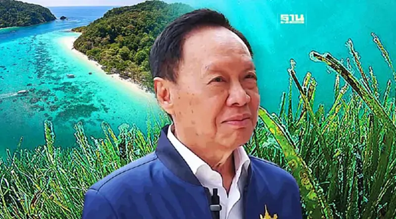 พัชรวาท เคาะ 3 มาตรการเร่งด่วน แก้ปัญหาหญ้าทะเลตรังเสื่อมโทรมกว่า10,500 ไร่ พัชรวาท เคาะ 3 มาตรการเร่งด่วน แก้ปัญหาหญ้าทะเลตรังเสื่อมโทรมกว่า10,500 ไร่